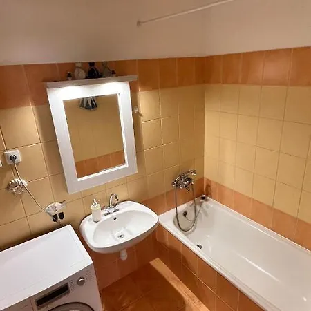 Apartment Viki *